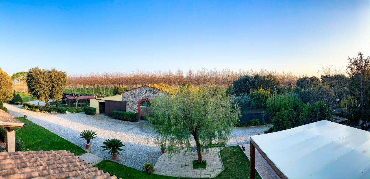 Agriturismo Il Cuscino Nel Pagliaio Campiglia Marittima Exterior foto