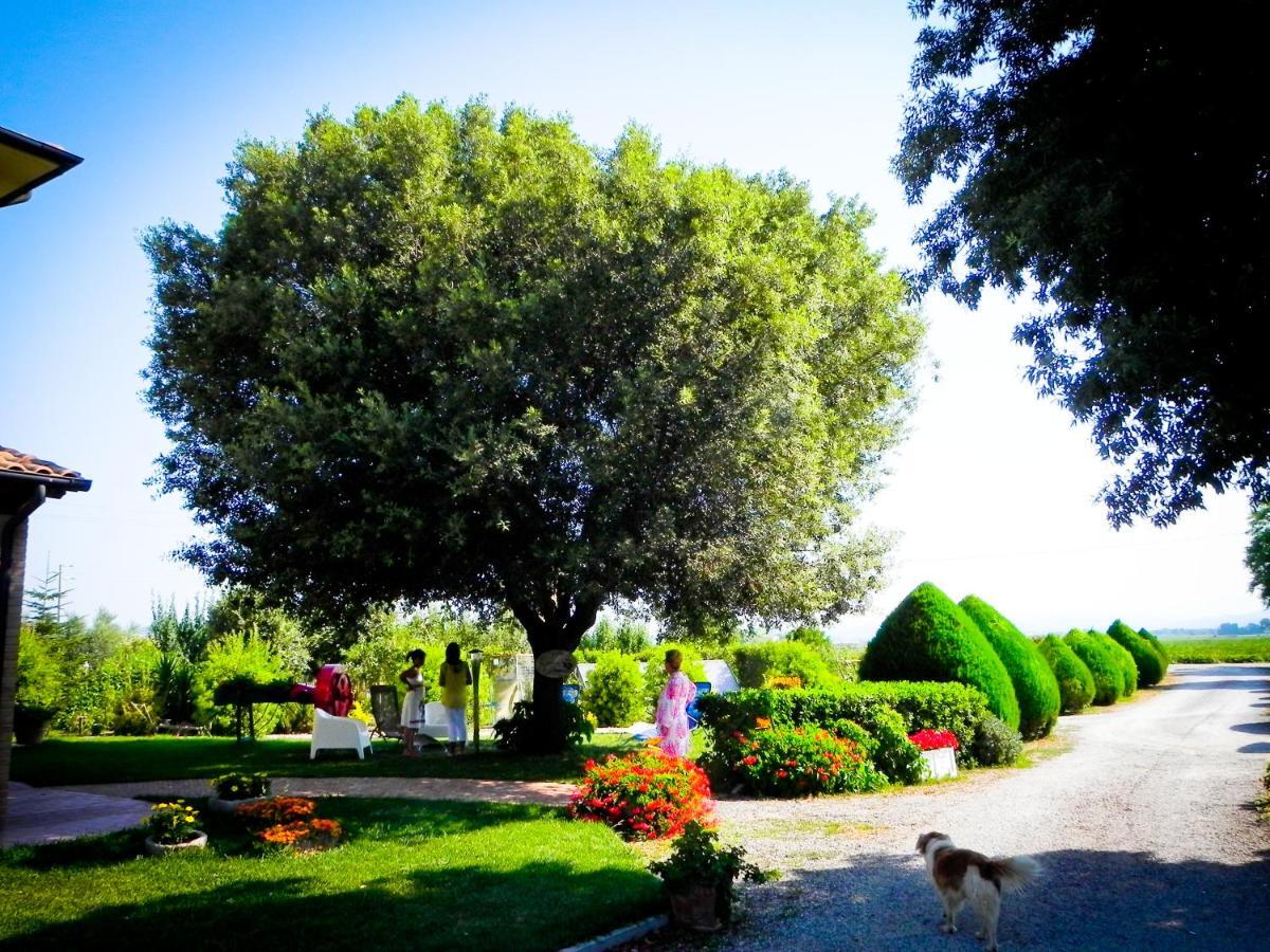 Agriturismo Il Cuscino Nel Pagliaio Campiglia Marittima Exterior foto