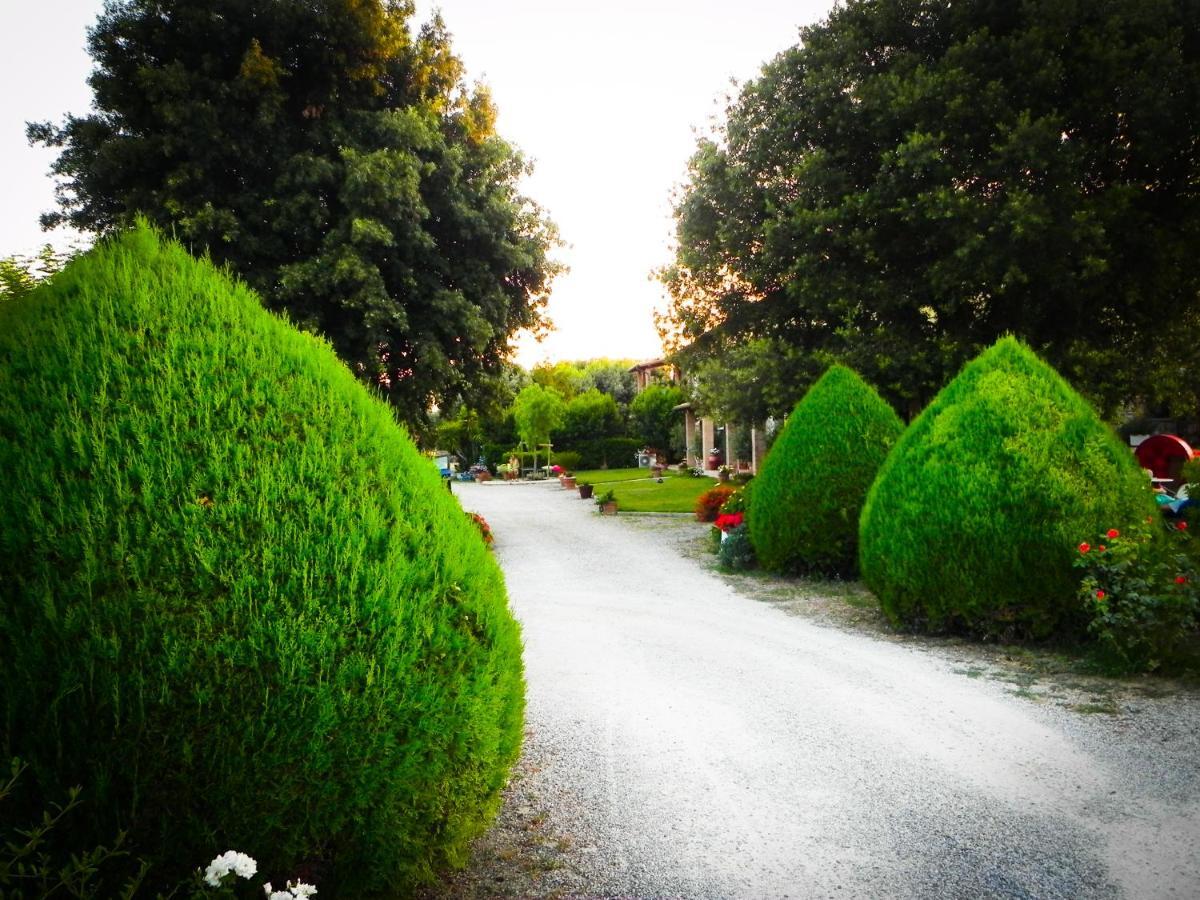 Agriturismo Il Cuscino Nel Pagliaio Campiglia Marittima Exterior foto